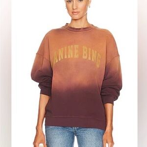 Anine Bing Brown Ombre Crew Neck Sweater